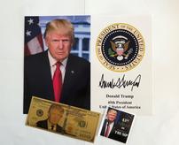 President Donald Trump Photo and $100 Bill 202//164